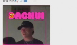 刘大锤爆料女生视频大全,女生视频大全揭秘